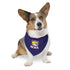 Pet Bandana Collar - Retro Camper 'Caliay MOIX' Dog Bandana Collar, Navy Adventure Style Accessory for Dogs & Cats