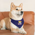 Pet Bandana Collar - Retro Camper 'Caliay MOIX' Dog Bandana Collar, Navy Adventure Style Accessory for Dogs & Cats