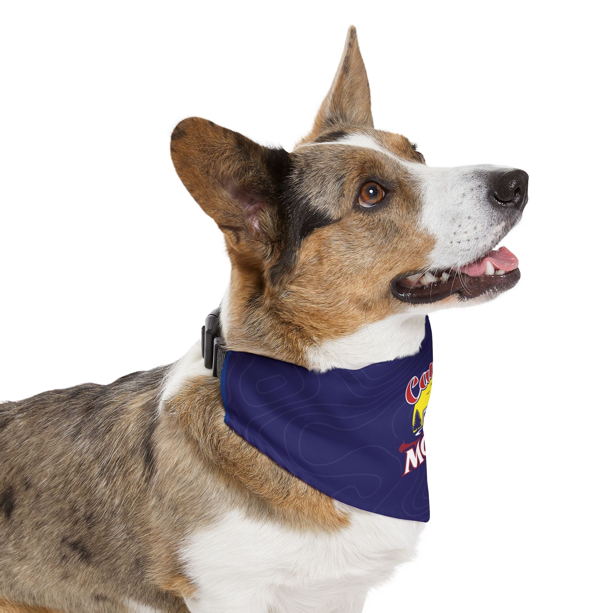 Pet Bandana Collar - Retro Camper 'Caliay MOIX' Dog Bandana Collar, Navy Adventure Style Accessory for Dogs & Cats